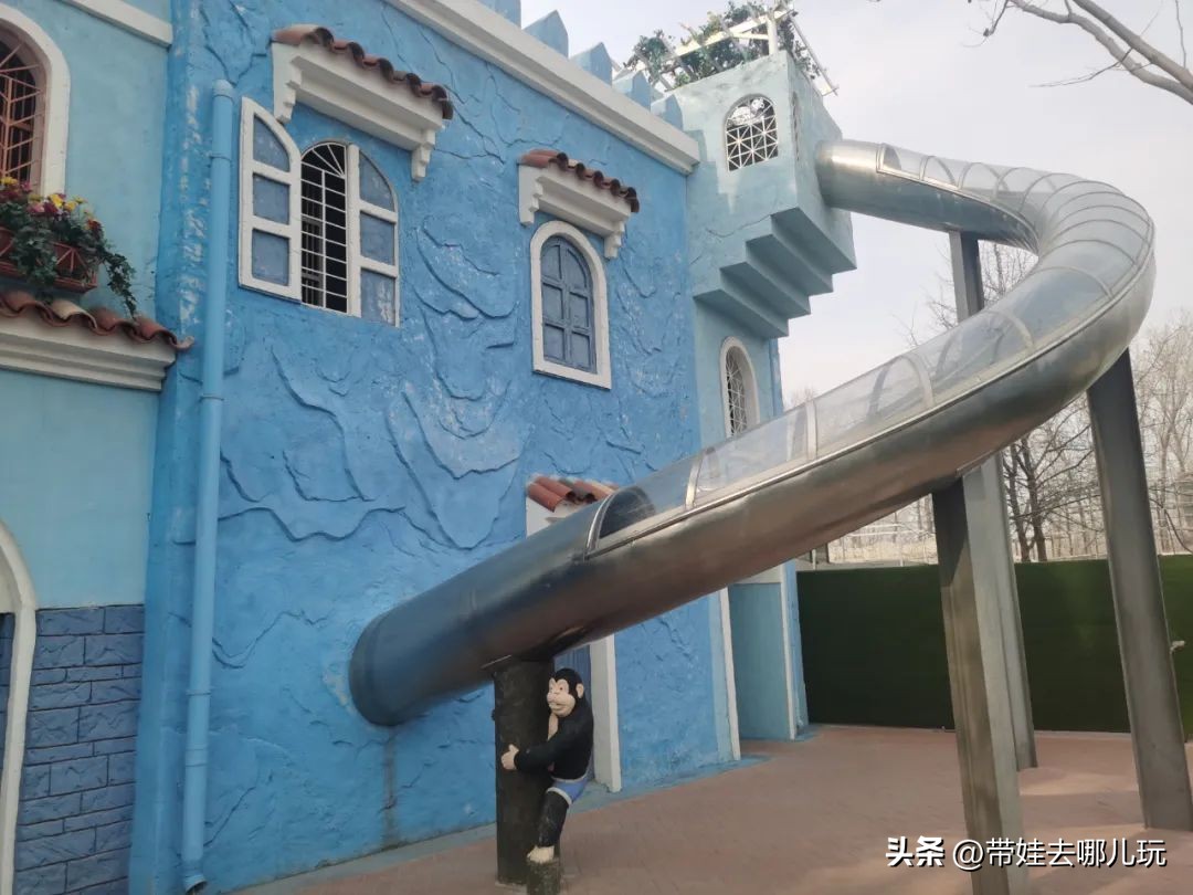 一天玩遍北京野生动物园,包场去鸟巢