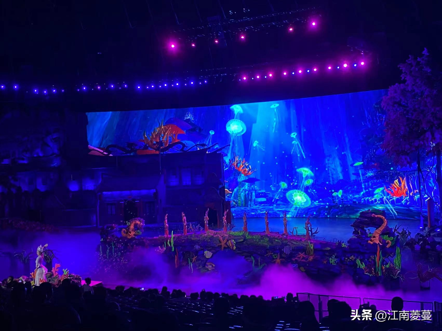 为什么那么多人选择去厦门旅游,浙江海岛和厦门哪里值得去