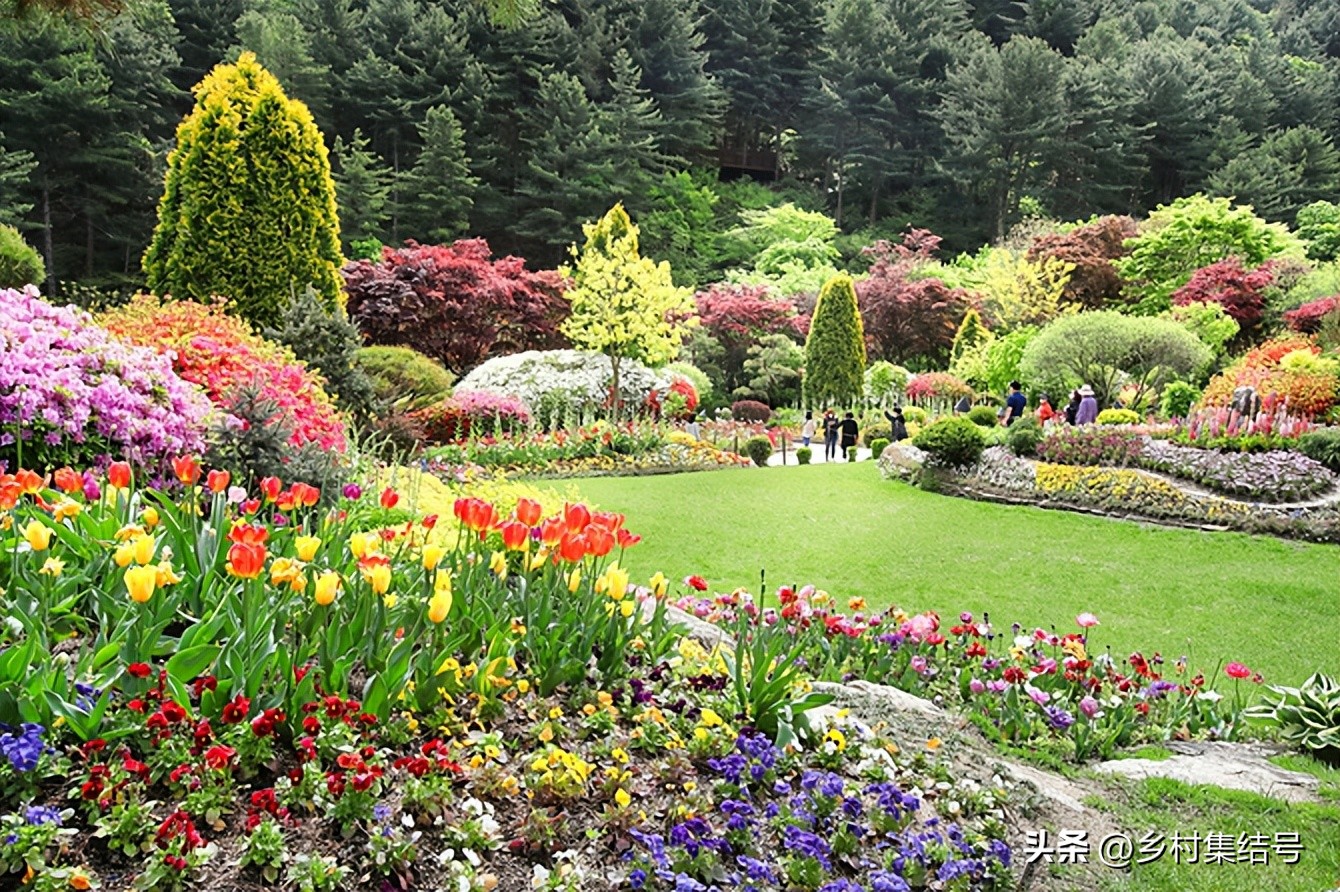 韩国晨静花园,韩国晨静树木园设计方案