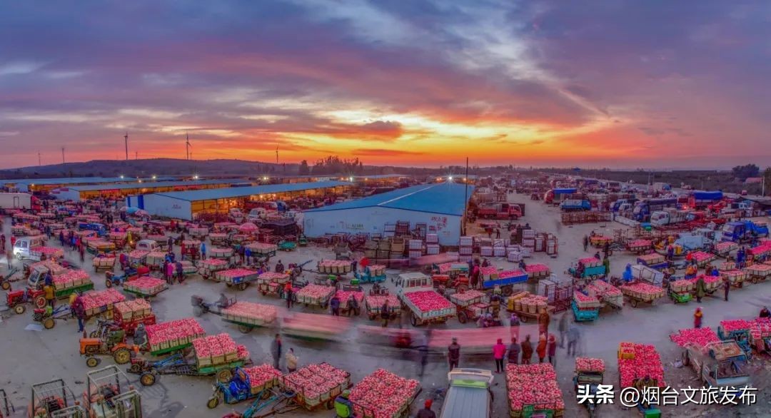 烟台旅游十大必去景点招远,招远黄金节值得去吗