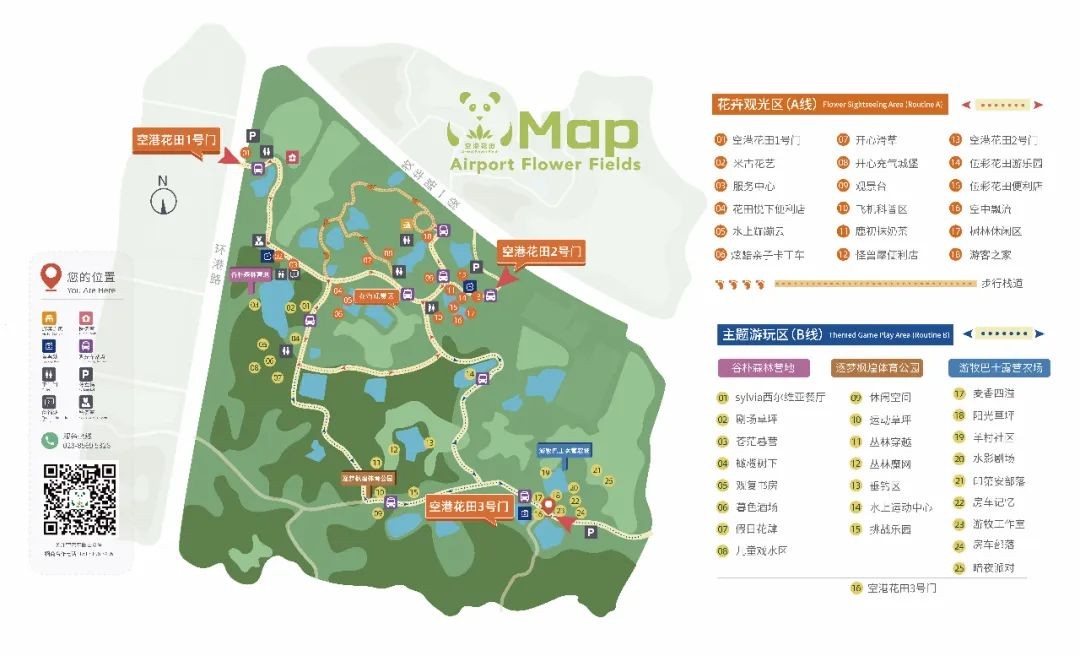 空港花田几点免费,空港花田最新信息