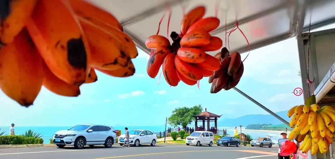 海南环岛自驾游及住宿,海南环岛自驾游美食攻略详细行程