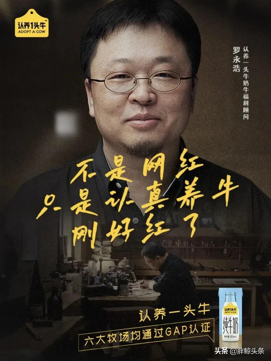 认养一头牛如何干翻蒙牛伊利,认养一头牛试喝奶粉