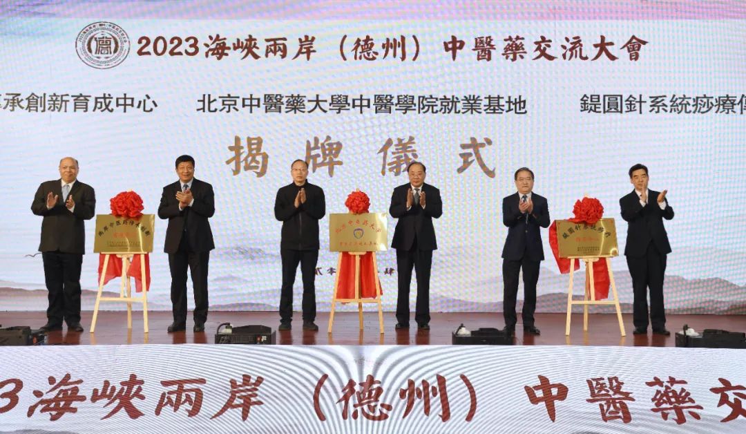 海峡两岸中医药交流大会山东德州,海峡两岸中医论坛2019时间