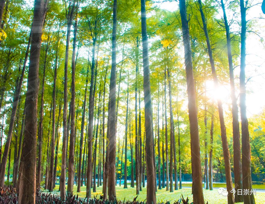 又一超好玩的亲水项目来啦！嗨翻~