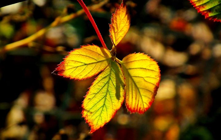 期货有风险吗抄底需要注意什么,期货套期保值需要注意哪些