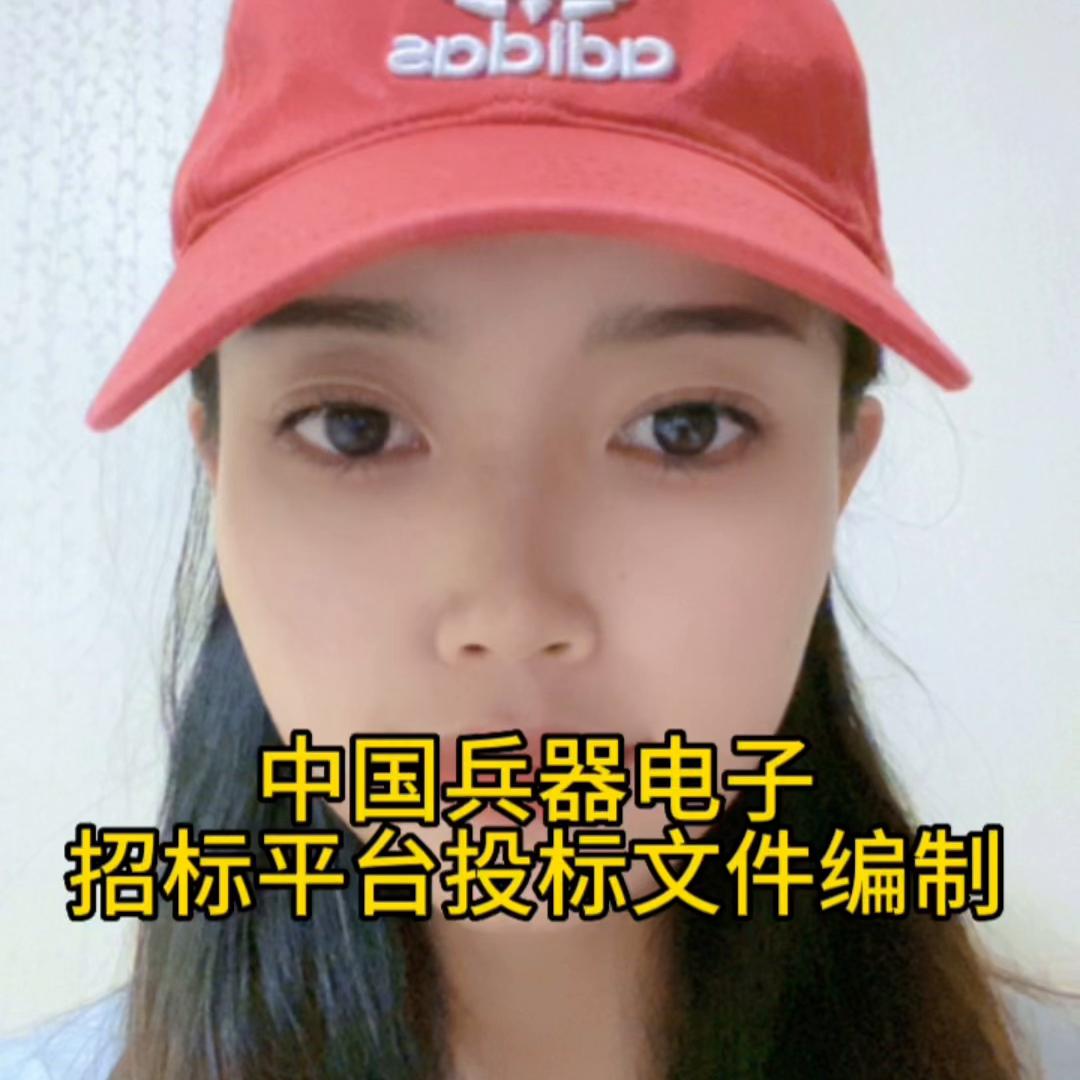 中国兵器电子招标投标平台系统,中国兵器招投标平台官网