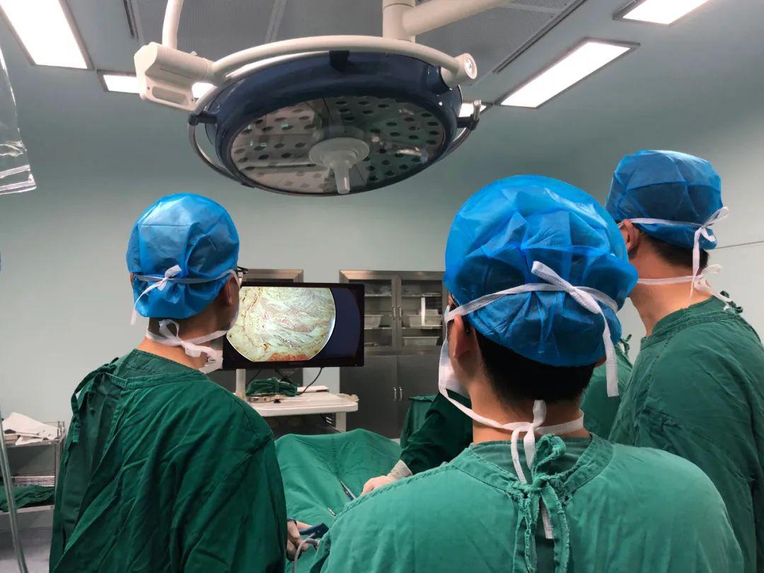 警惕血尿,女性突然无痛血尿一定是膀胱癌吗