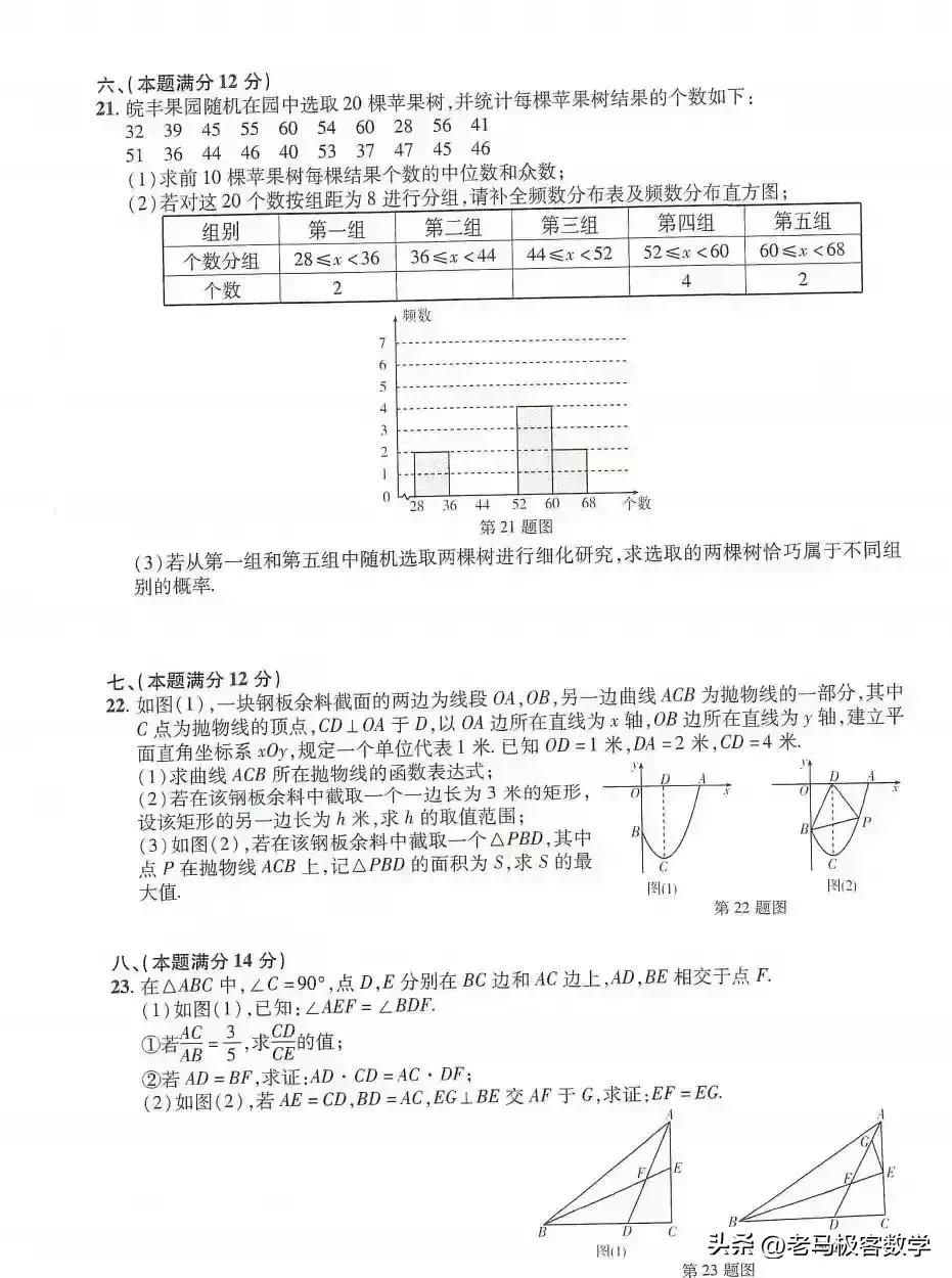 2024年安徽全椒中考数学,安徽全椒县一模考试试卷