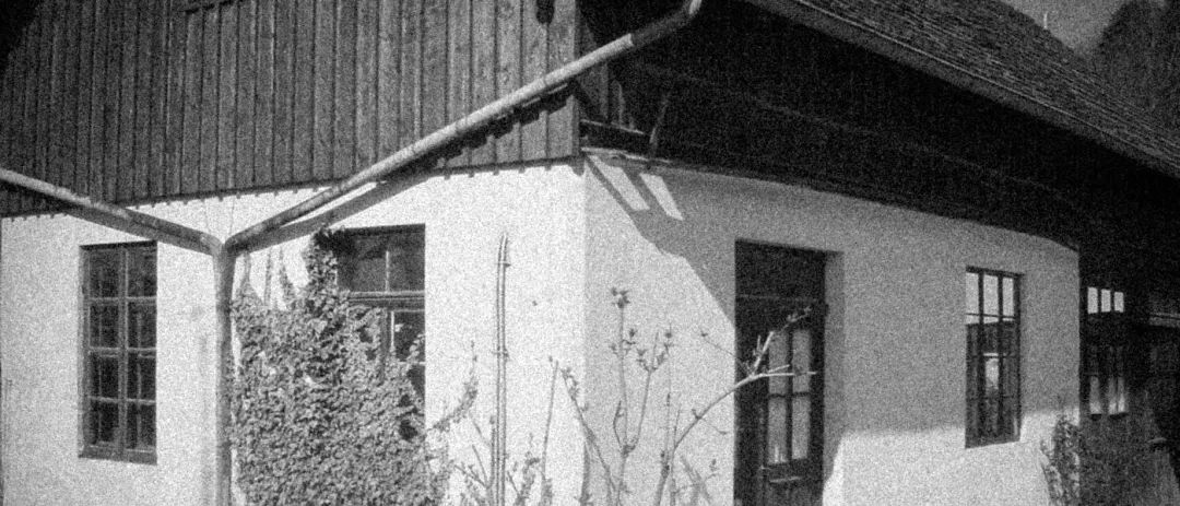 品牌故事|roseplastic（玫瑰塑胶）