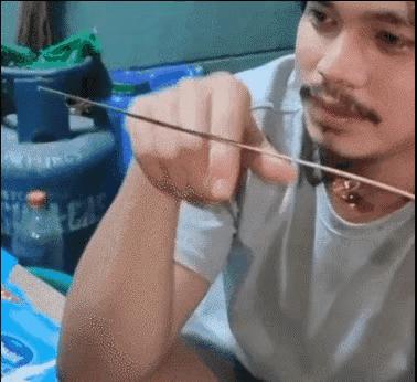 30张活久见的照片世界太奇妙了,25张有趣的照片展示神奇的世界