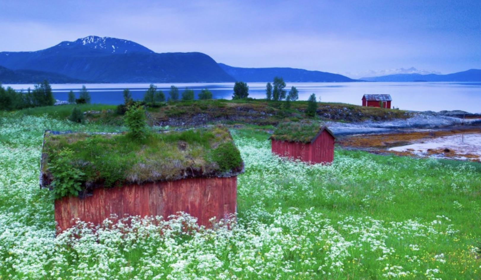 为什么都说不能和处女座谈恋爱,为什么说不要和处女座比魅力