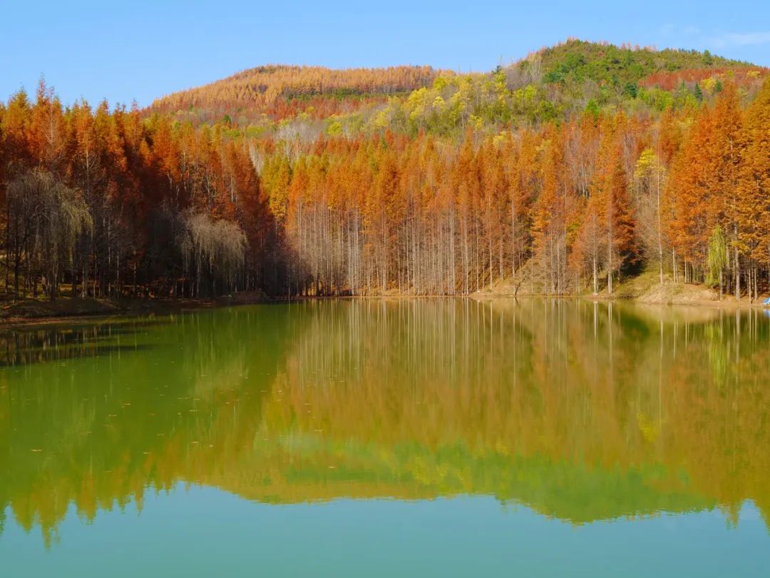 喜迎二十大之经济建设,喜迎二十大高质量发展
