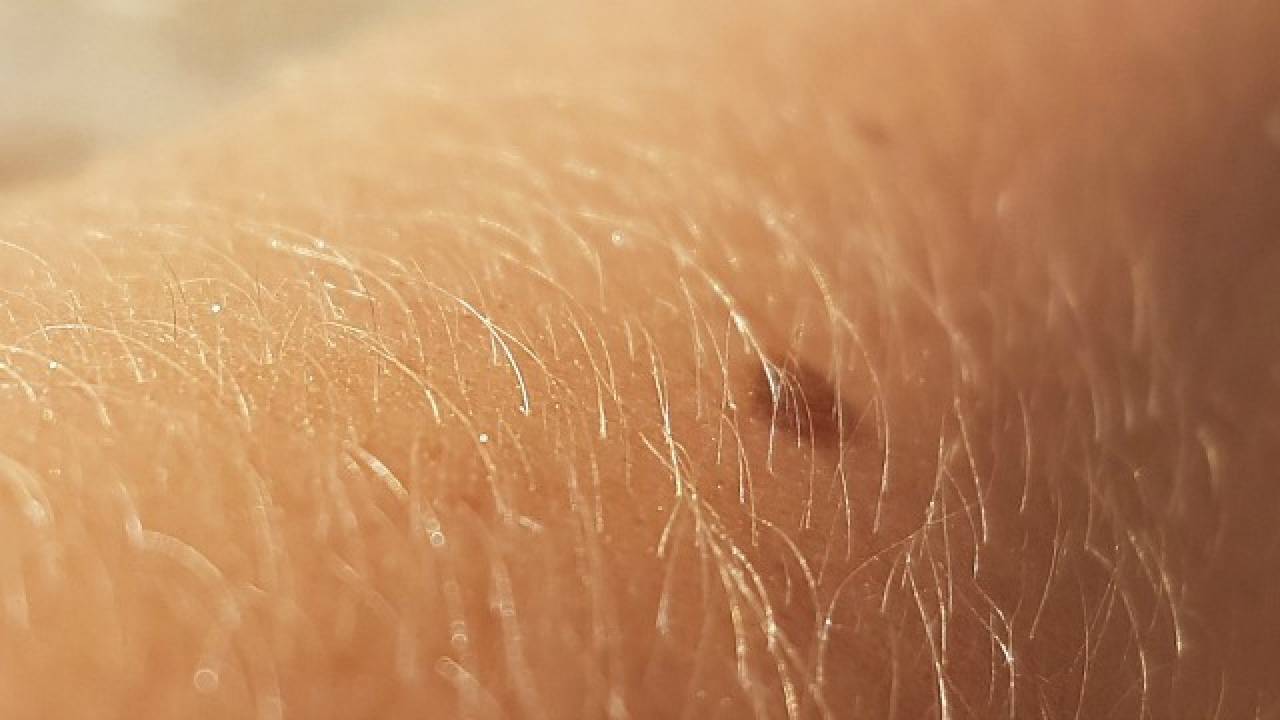 阴毛有什么用，要不要刮掉？阴毛的变化可能暗示什么疾病？望了解