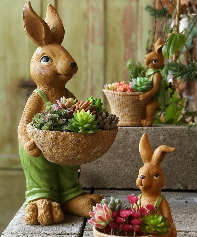 十种最旺家庭的小盆景,各种小盆景大全图片