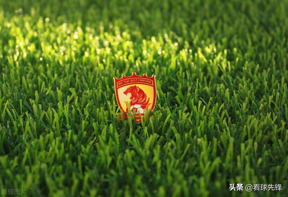 董路怒批韦世豪西瓜视频,董路怒批武磊完整视频