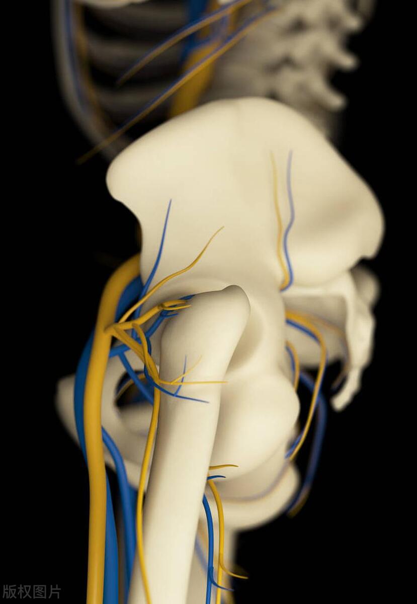 慢性盆腔疼痛门诊看什么,男性慢性盆腔疼痛多久能好