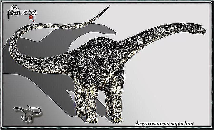 泰坦巨龙图片从哪来的,泰坦巨龙恐龙图片和简介