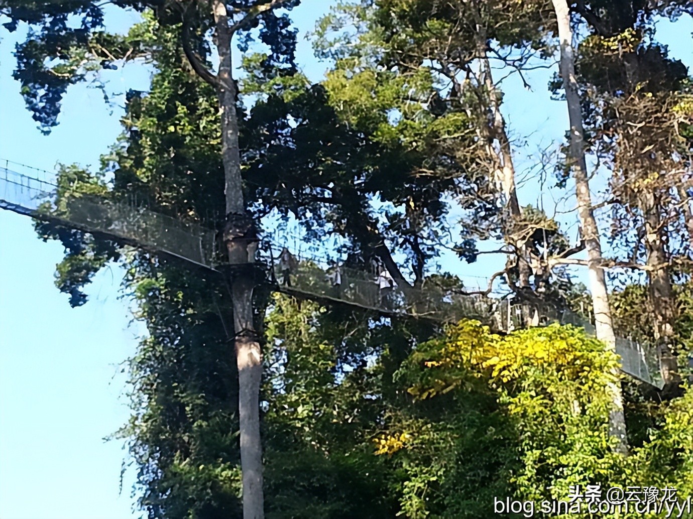 西双版纳磨憨自驾游攻略,自驾游云南版纳旅游攻略