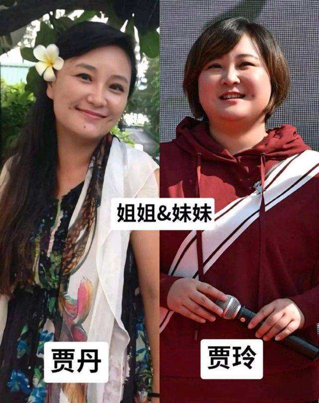李冰冰姐妹花在娱乐圈打拼靠什么,十对明星姐妹