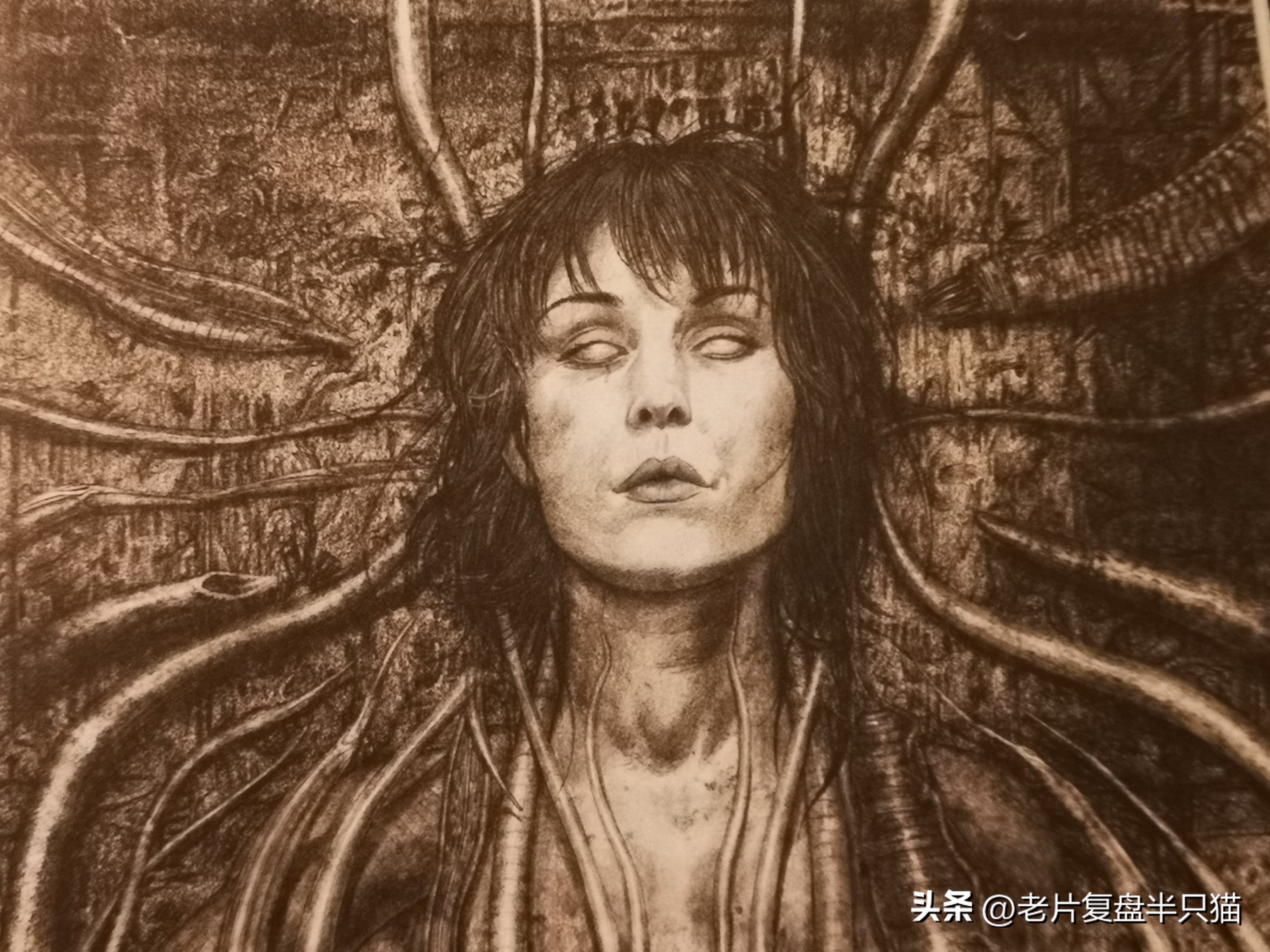 仿生人大卫的秘密,仿生机器人大卫