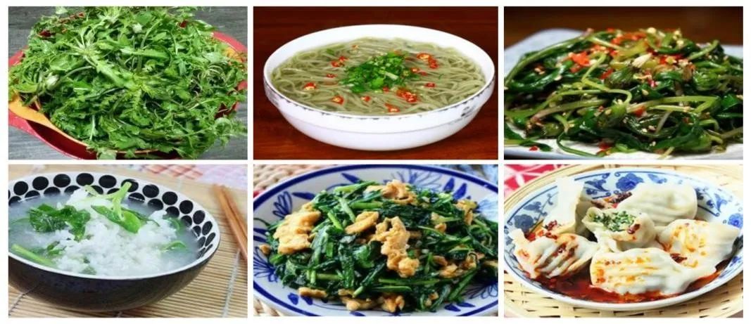 赤峰通辽创业大赛,活力赤峰创业创意大赛