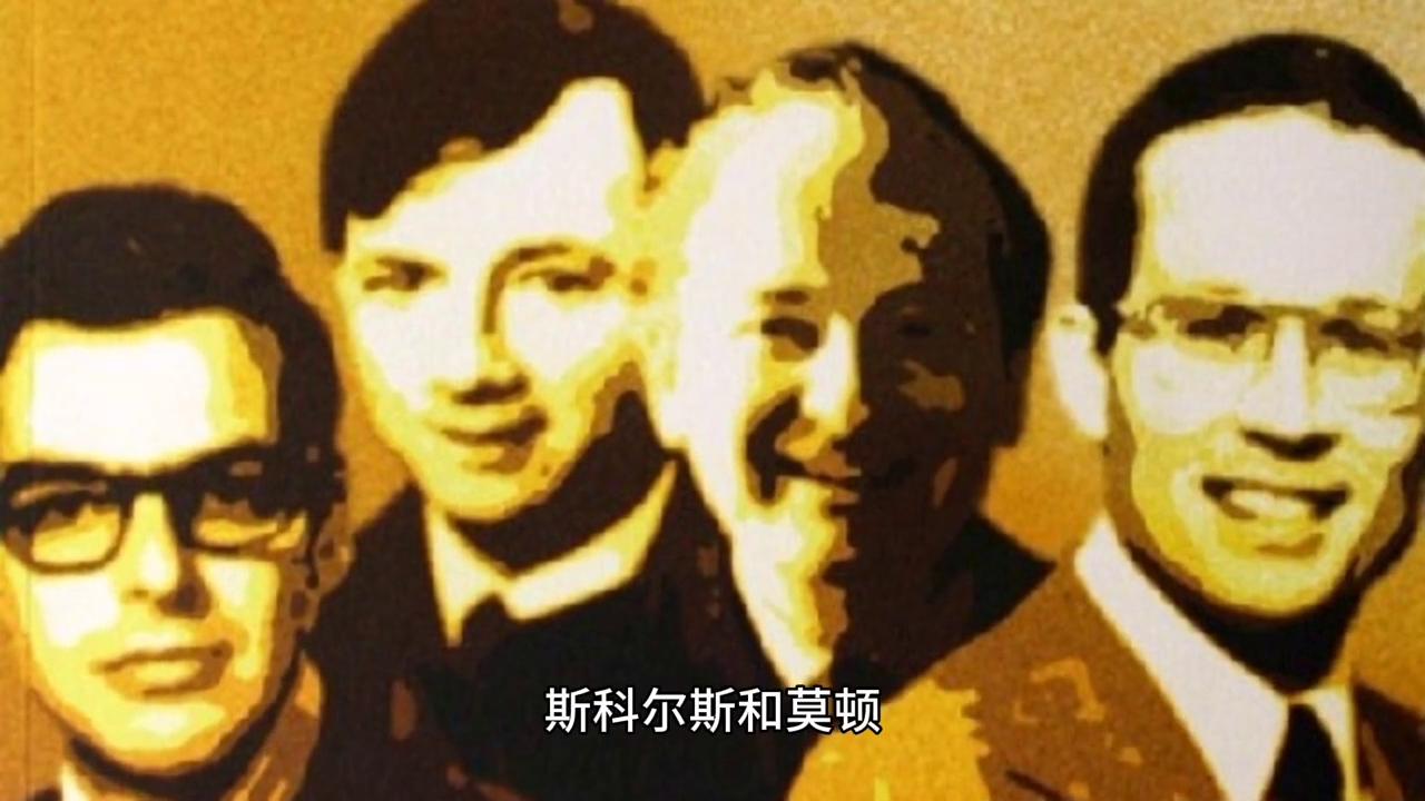 股票直播,股票投资