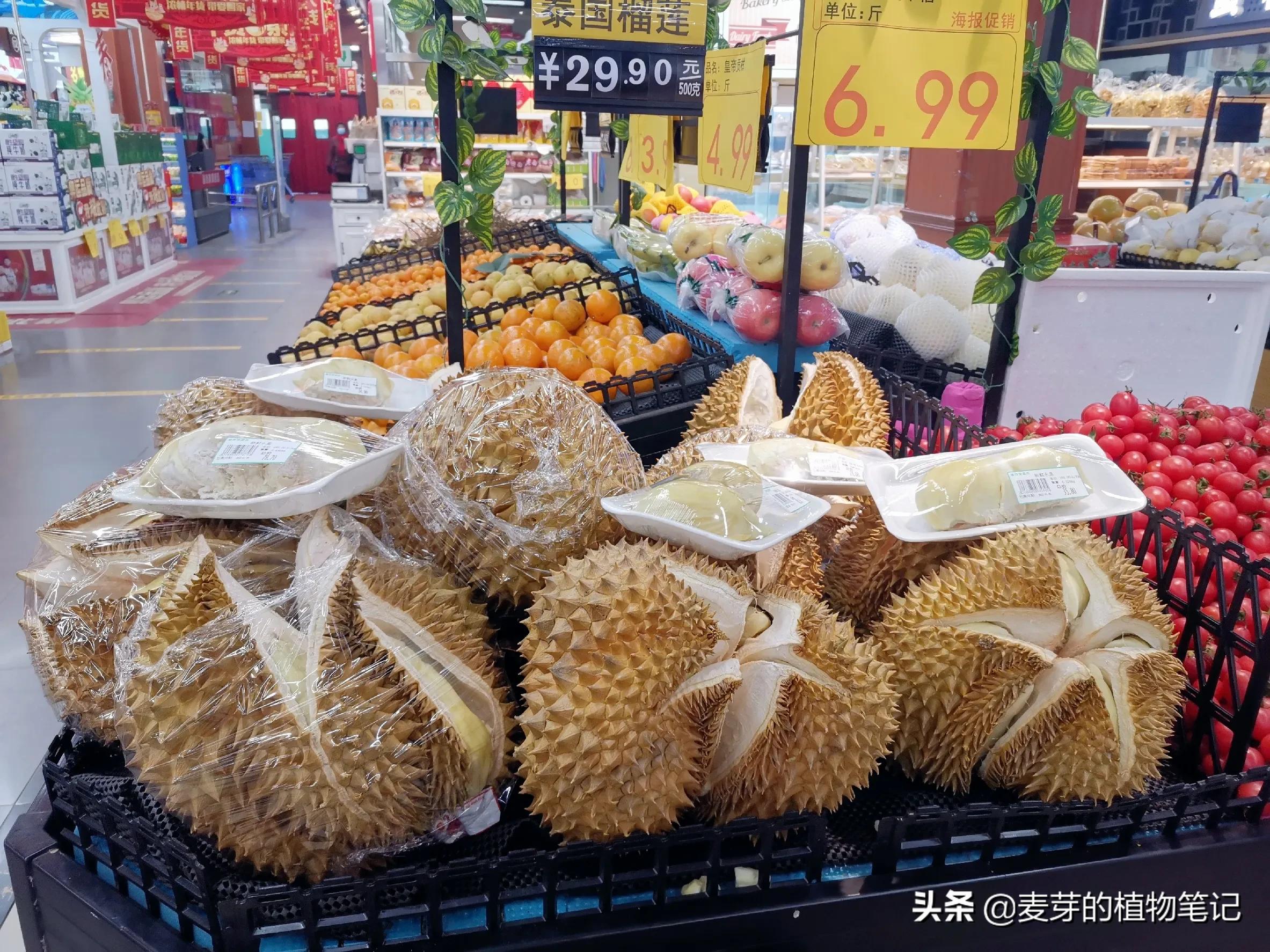 有一等臭果，番名赌尔焉