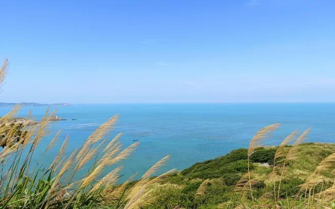 嵊泗花鸟岛和枸杞岛亲子游,嵊泗花鸟岛和枸杞岛哪个值得去