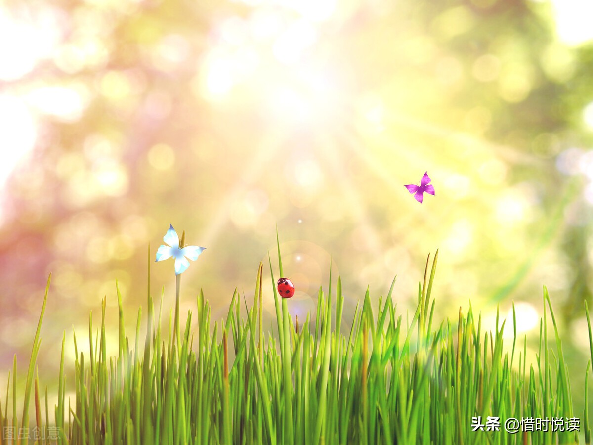 当你陷入困境的时候该怎么做,当你陷入困境时视频