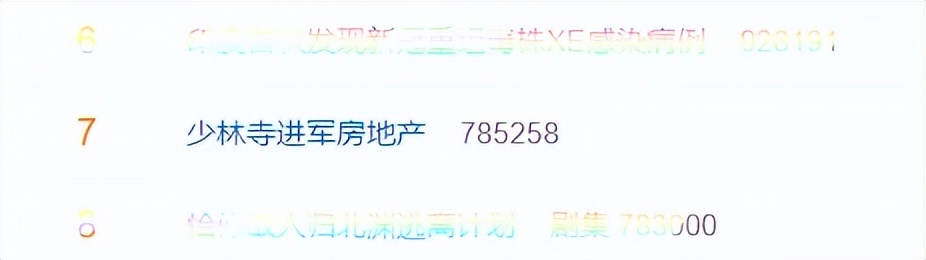 穿袈裟的老板释永信,释永信商业帝国