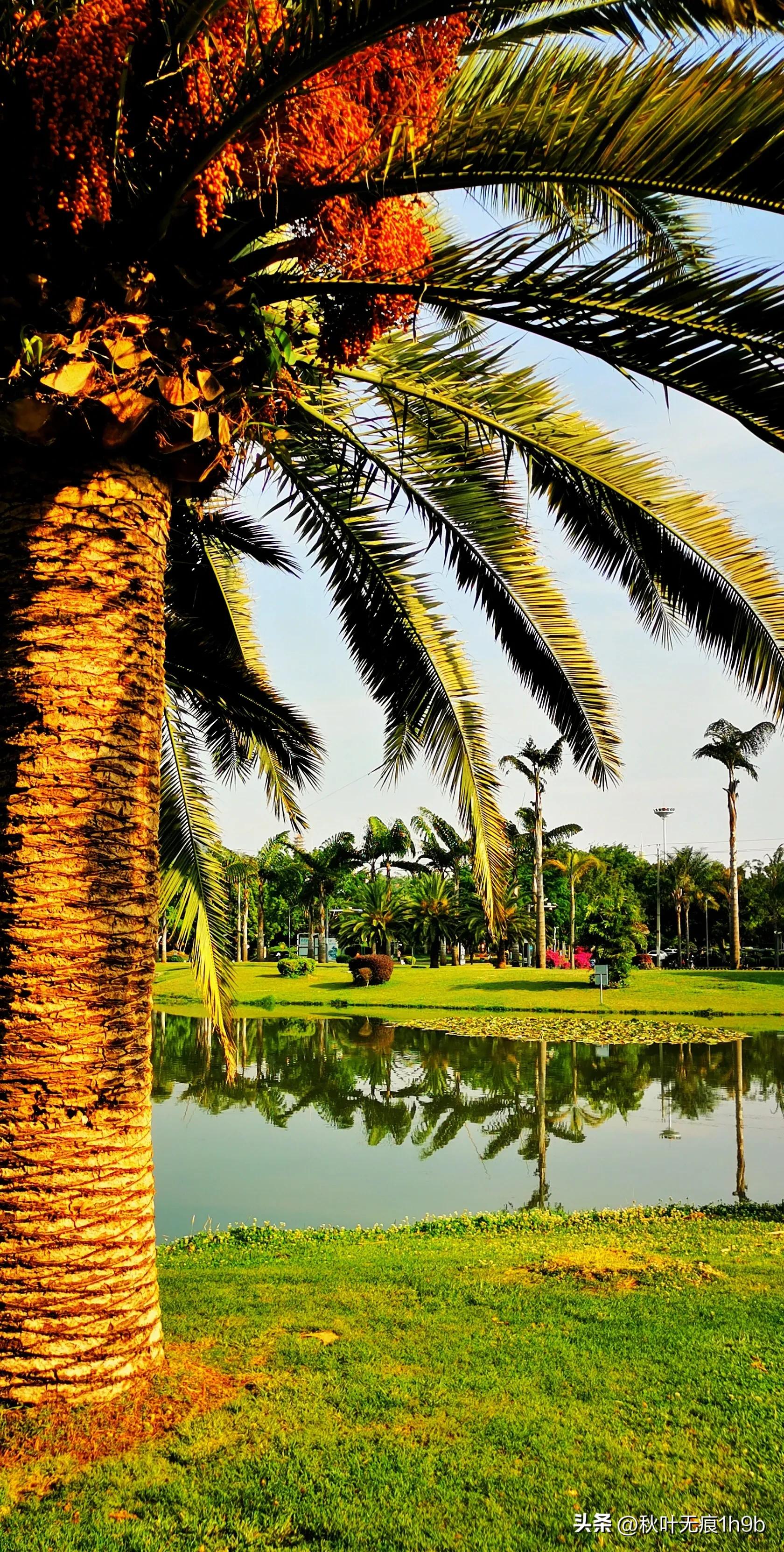 弥勒适合养老居住的镇,弥勒养老旅居