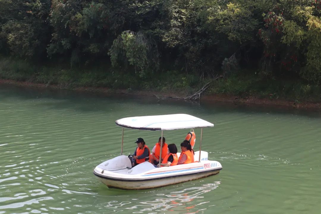 住在森林里体验野奢宿营生活,住在森林城市是一种怎样的体验