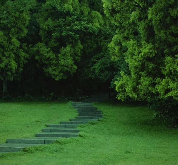 深圳绿色公园,深圳宝安值得去的公园