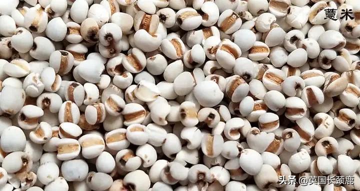 养生大法,养生法