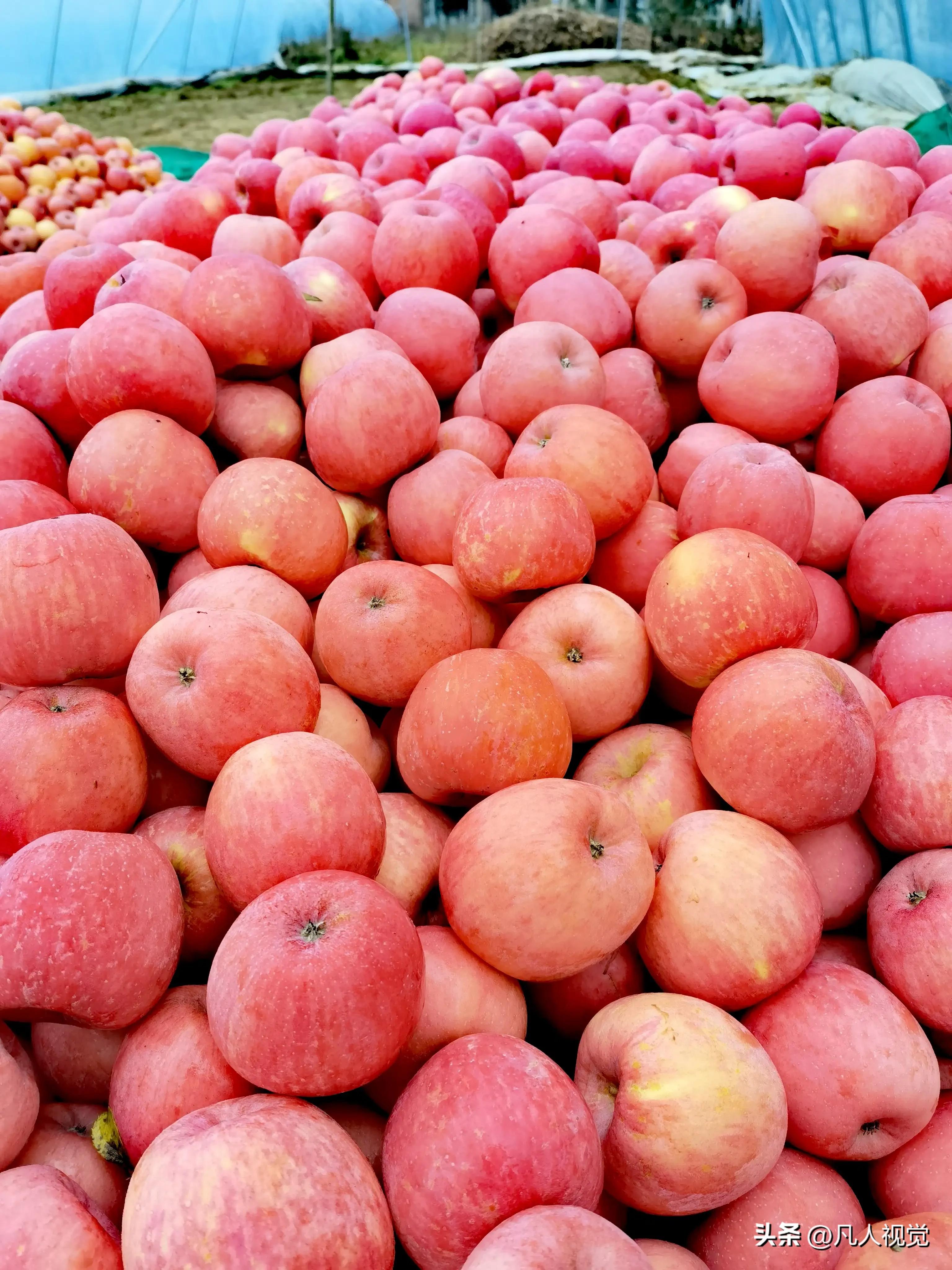 世界杯感伤,世界杯悲伤哭泣