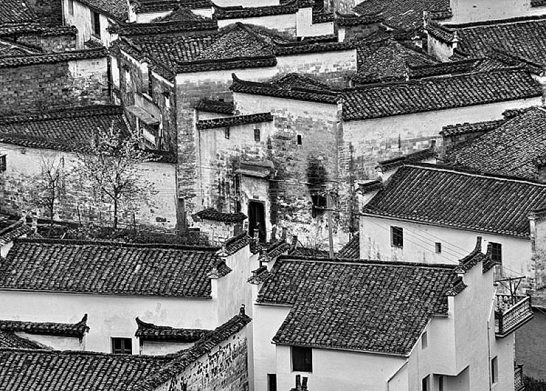 琛㈠窞鎮﹁嫅閰掑簵鏅,琛㈠窞鎮﹁嫅閰掑簵椋庢櫙