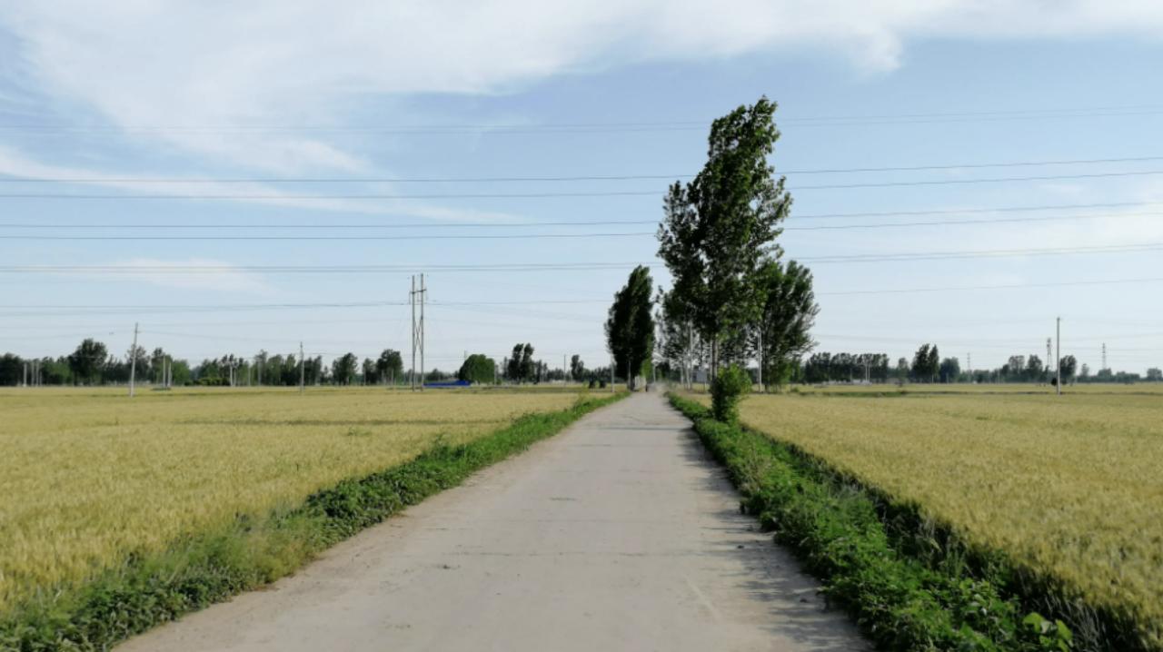 男子在山上捡到不知名小乌龟,男子在河里捡到一只小乌龟