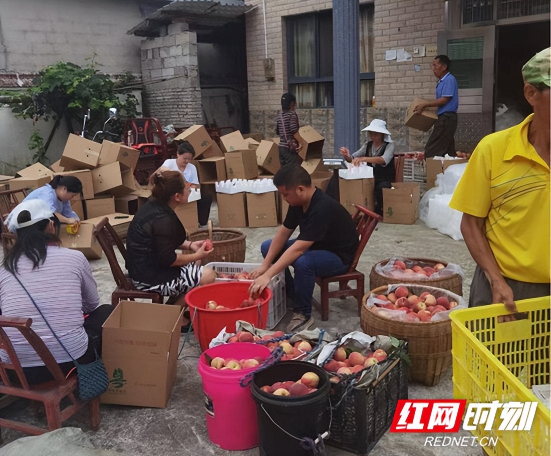 辛巴为辛选用户精选百余品牌商品，“线上”模式助农售桃