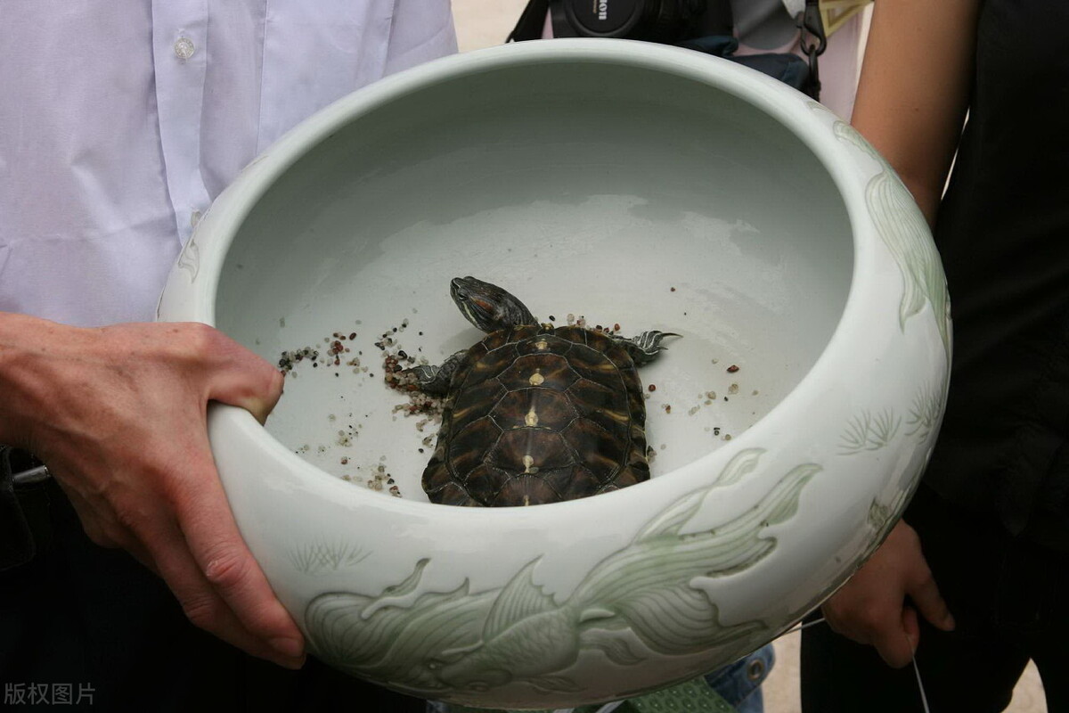 季羡林故居被盗案宣判,季羡林文物被盗审判视频