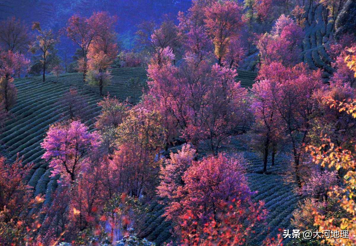 旅游攻略国内十大必去景点南方,中国南方著名景点