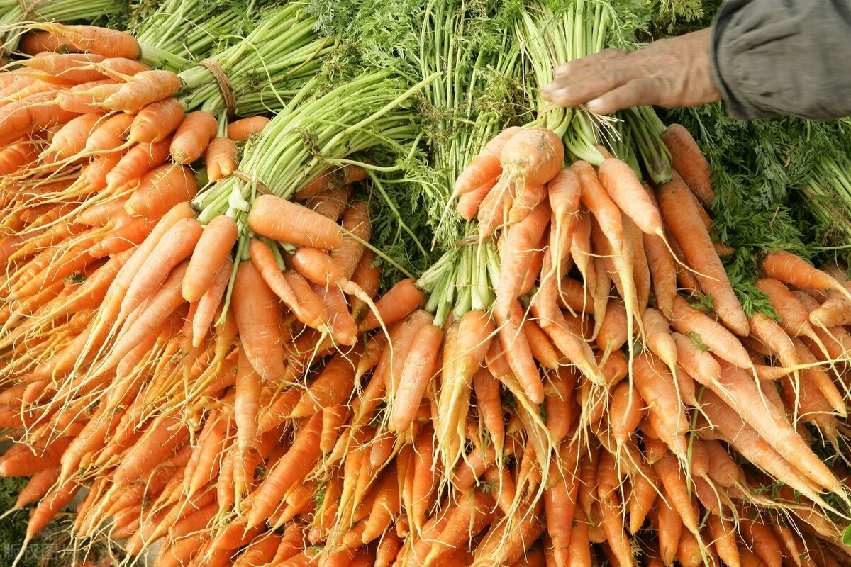 去索马里旅游看到海盗,海盗去索马里