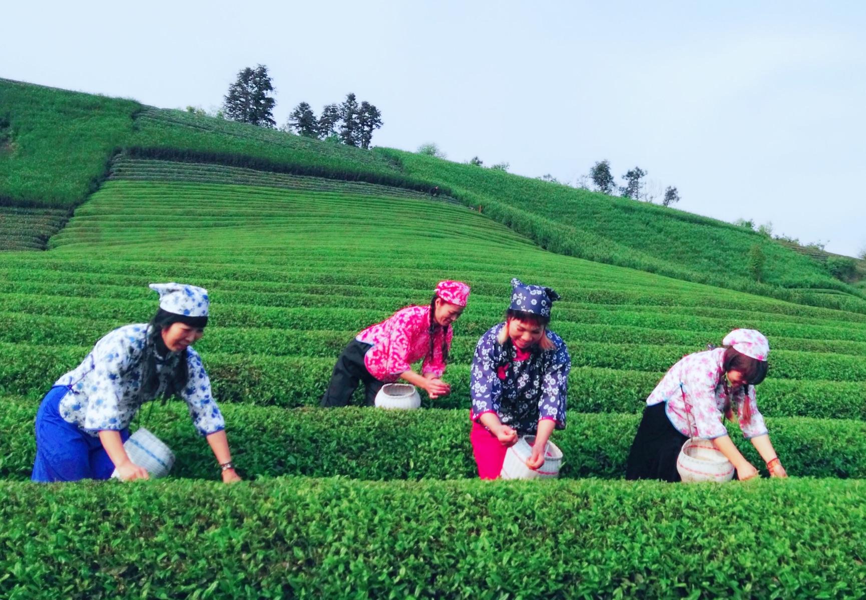 身高不足一米的女孩嫁给男孩,身高不到1米的女孩2016