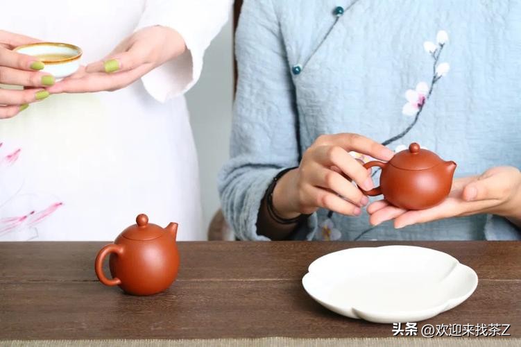 最高级的茶是什么茶,初级喝什么茶高级喝什么茶