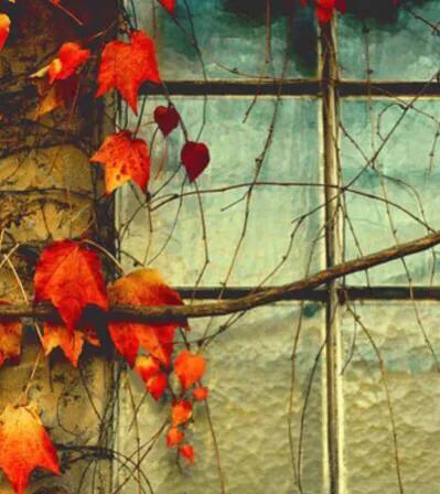 前夫离婚短篇小说,短篇夫妻离婚小说