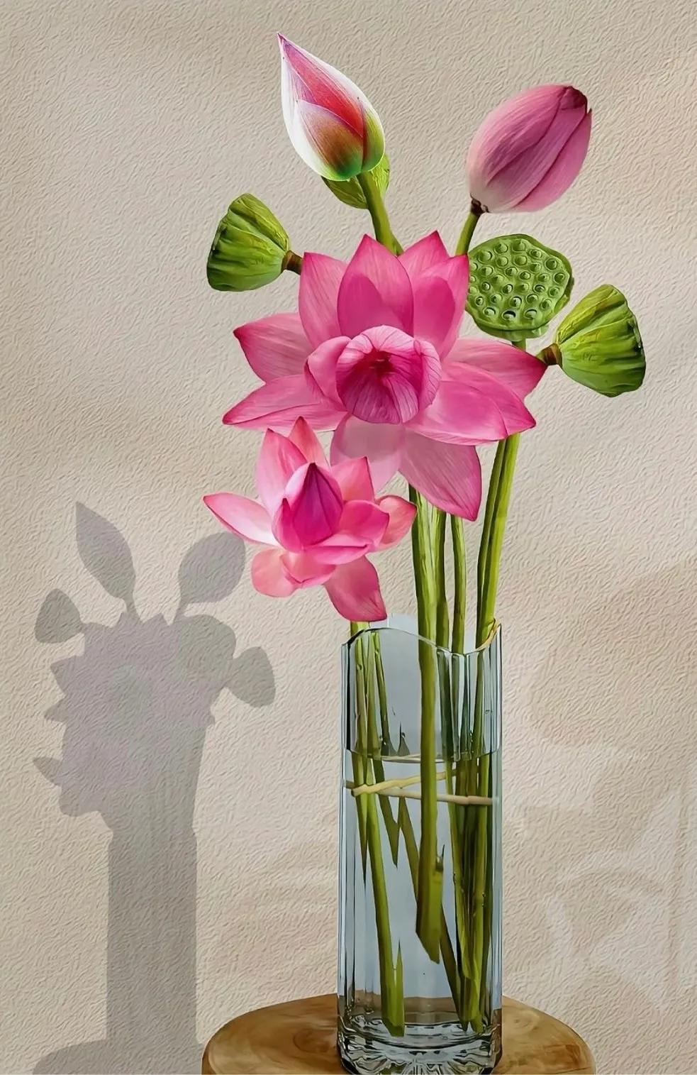 荷花荷叶壁纸图片大全,荷叶手机壁纸高清图片