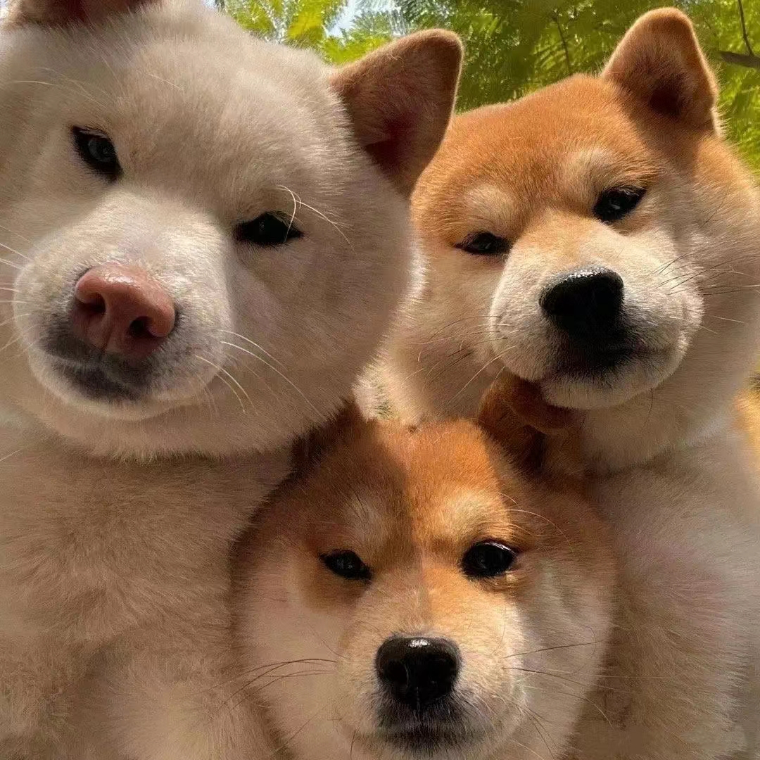 宁波哪家券商开户佣金最低,股票开户哪家佣金便宜些