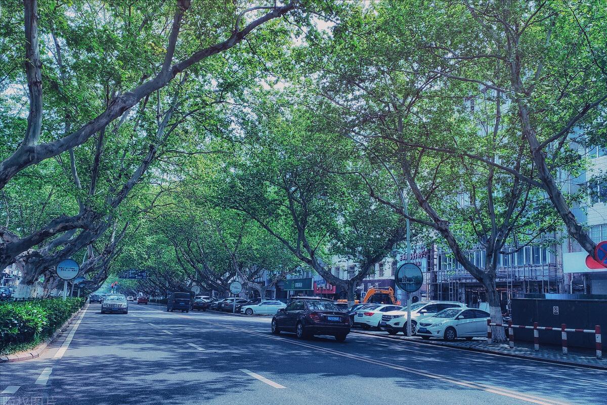 合肥长江路地标,合肥经典地标