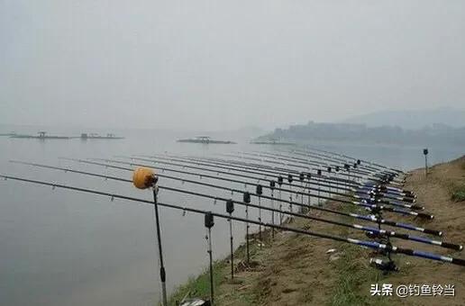 海竿路亚竿矶钓竿有什么区别,海竿路亚竿和矶竿哪个更实用