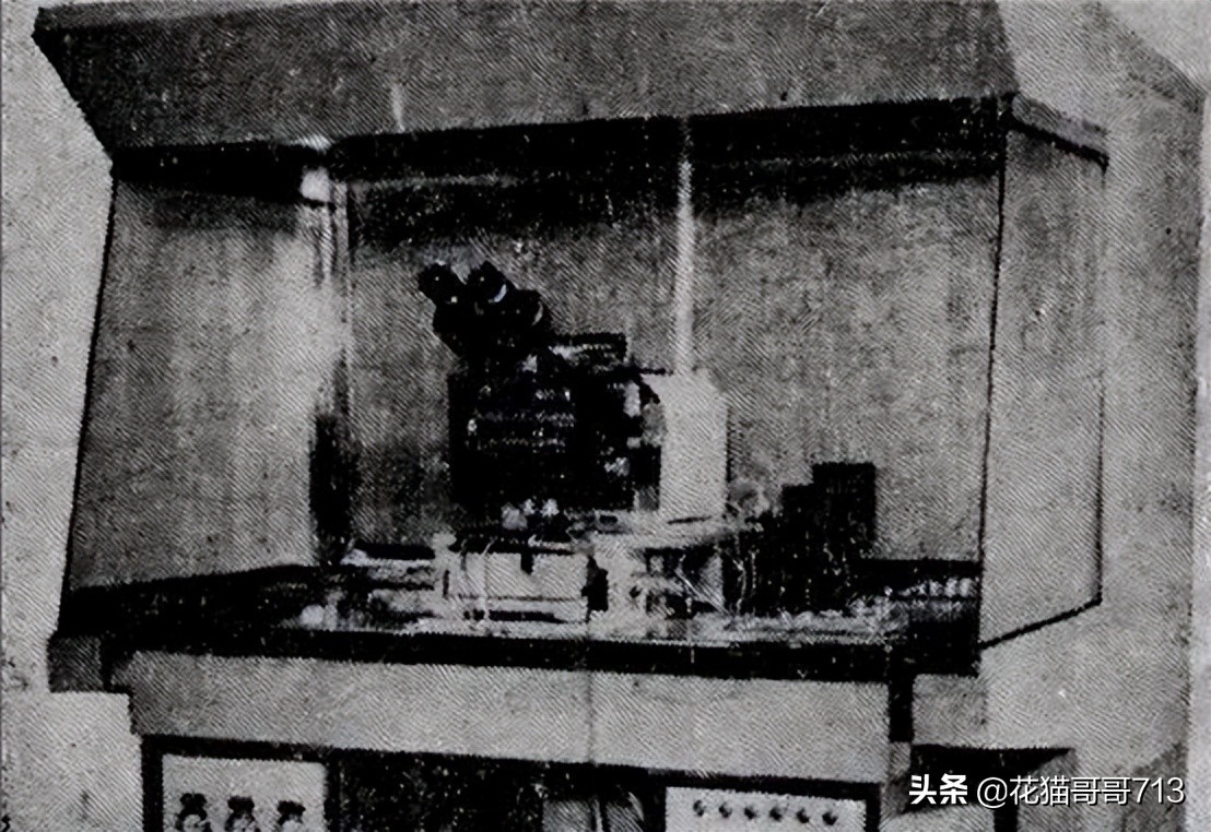 猫哥俄罗斯,猫哥在俄罗斯最新视频